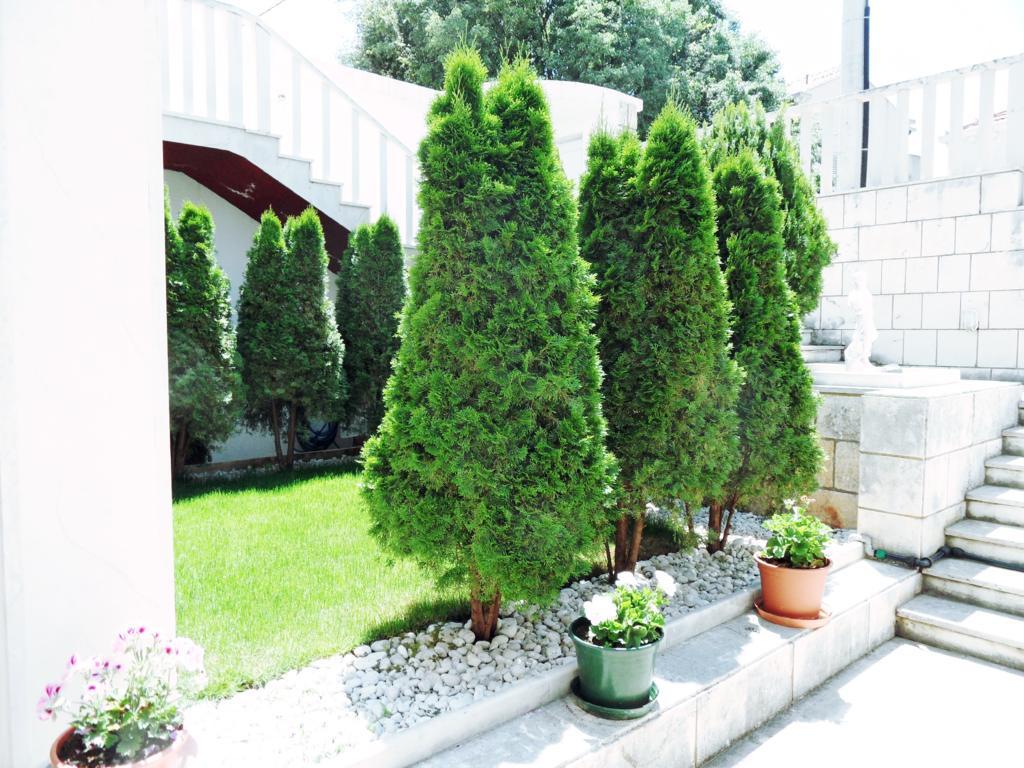 Adria Apartments And Rooms Ragusa Esterno foto